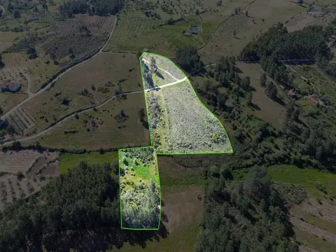 Terreno Rústico para venda com cerca de 19 200 metros na aldeia do Catrão, Vale Prazeres, Fundão