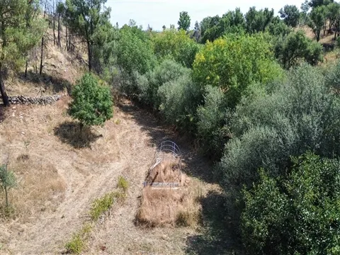 img_18