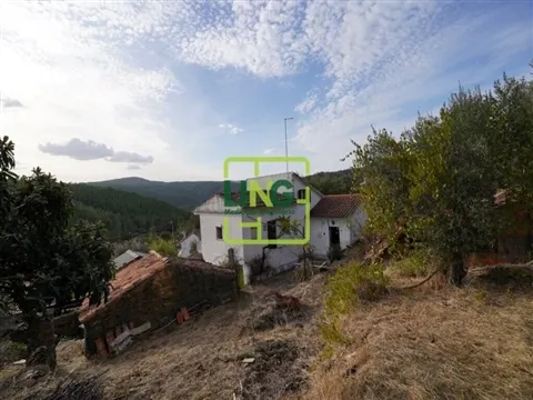 Quintinha T3
