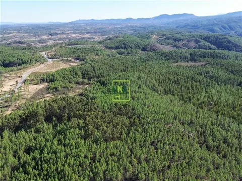 img_28