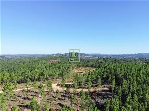img_13