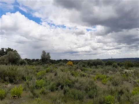 Farm 5200m2 - Quintas da Torre - Fundão - Portugal