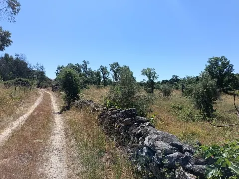Rustic land in águas, Penamacor!
