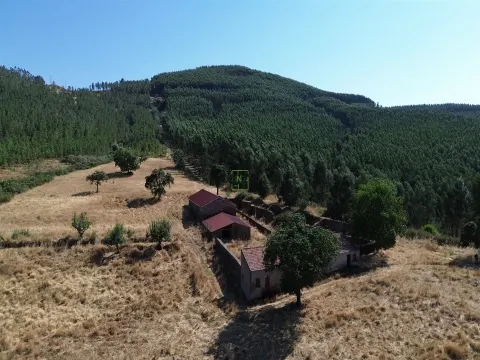 180-hectare Estate - Penamacor