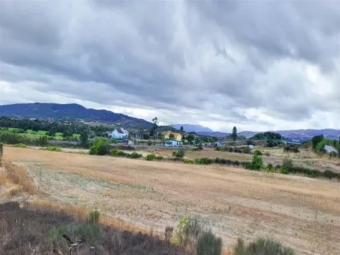 46,000 m² farm – Abundant water, a privileged location, and enormous potential!