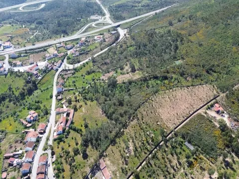 Terreno Rústico para venda com cerca de 7 500 metros na aldeia de Alvaiade, Vila Velha de Ródão