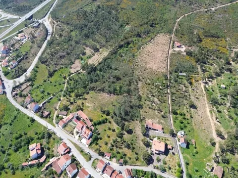 Terreno Rústico para venda com cerca de 7 500 metros na aldeia de Alvaiade, Vila Velha de Ródão