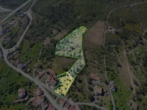 Terreno Rústico para venda com cerca de 7 500 metros na aldeia de Alvaiade, Vila Velha de Ródão