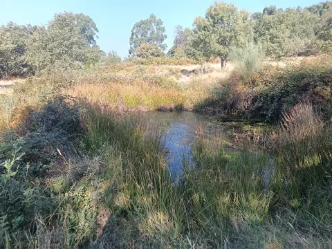 Rustikales Grundstück in Penamacor.