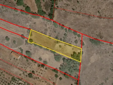 Ferme de 3 250 m² avec dépendance de 36 m² – à 10 minutes de Castelo Branco