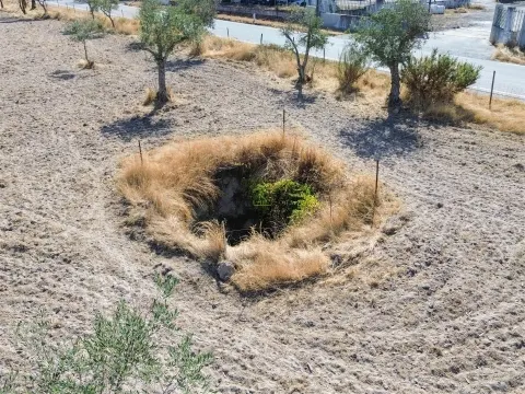 Terreno Rústico à Venda na Lardosa – 4750 m² com 4 Poços de Água