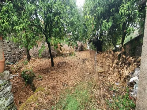 Moradia com quintal na freguesia de Sobral do Campo - Castelo Branco