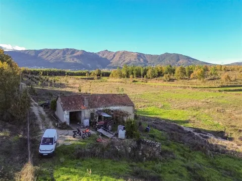 Quinta Vedada com Abundância de Água, Castanheiros e Casa para Recuperar —