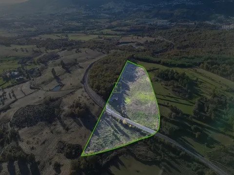 Quinta Vedada com Abundância de Água, Castanheiros e Casa para Recuperar —