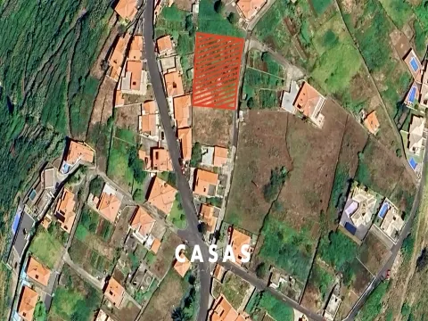 Real Estate