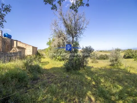 EXCLUSIVO! Amplo terreno com mais de 8000 m2 perto da Escola Internacional  Britânica