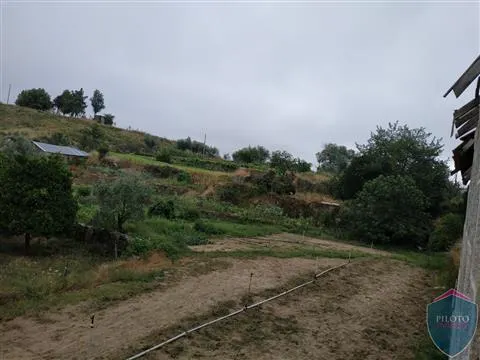 Detached house to restore