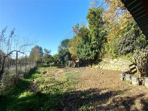 img_50
