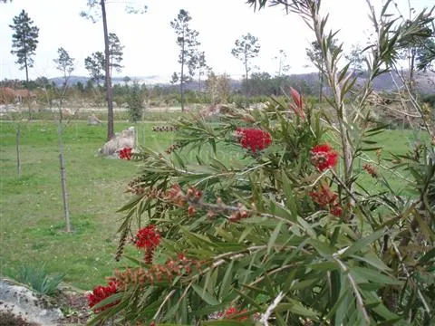 Fattoria / Cascina / Casale