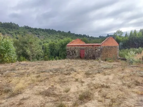 Quinta com 6ha em Penalva do Castelo