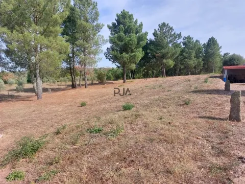 Terreno para construção em Vila Ruiva, Fornos de Algodres