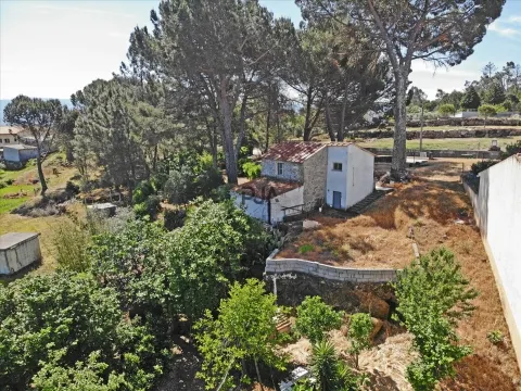 Quinta com cerca de 6.500 m² em Póvoa de Cervães, Mangualde