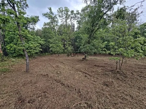 Lote de Terreno Industrial em Quintela de Azurara, Mangualde
