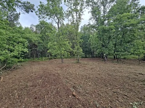 Lote de Terreno Industrial em Quintela de Azurara, Mangualde