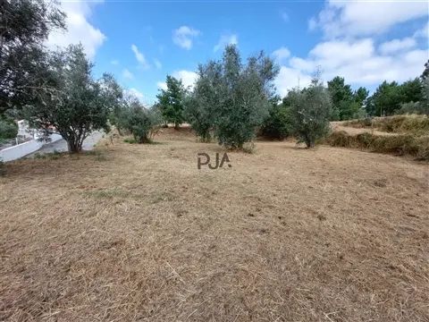 Quinta com 3 Ha em Fornos de Algodres