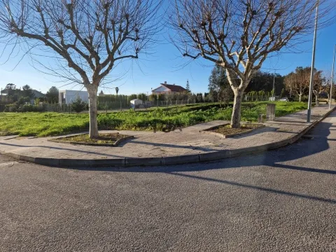 Terreno para Construção de 6 Fogos em Carregal do Sal