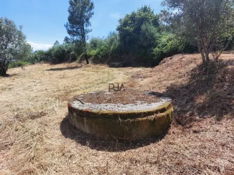 Terreno Rústico em Fornos de Algodres