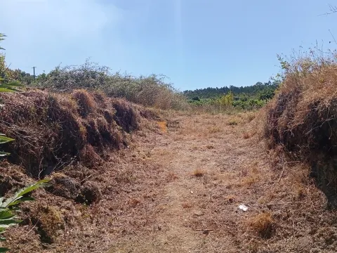 Terreno 3.000m2 Duas igrejas