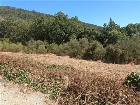 Terreno à Venda em Portela Susã | Viana do Castelo