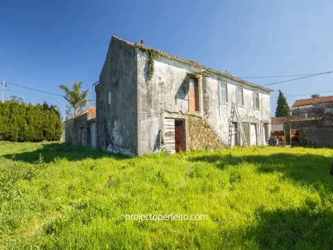 Quinta T4