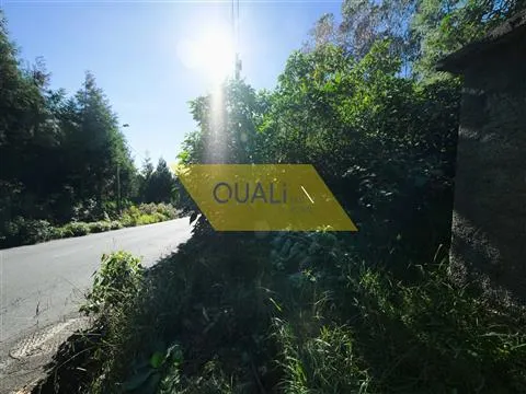 Terrain rustique à Santo da Serra - Madère - € 135.000,00