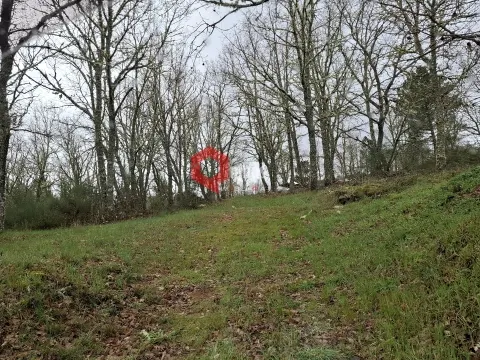 Terreno agricola para construção agricola.