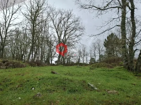 Terreno agricola para construção agricola.