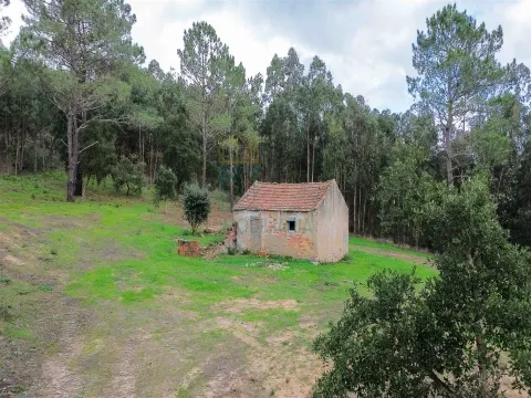 Haus renoviert 2 Schlafzimmer