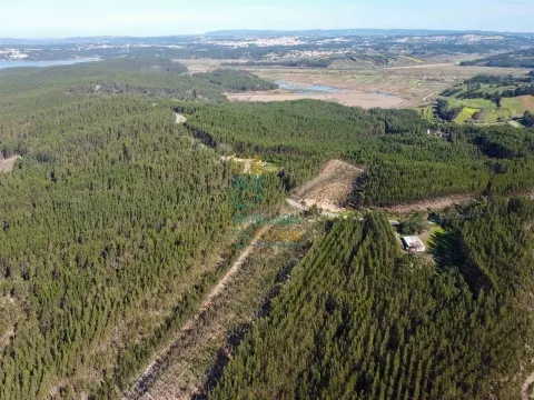 Terreno com 72ha perto da Lagoa de Óbidos