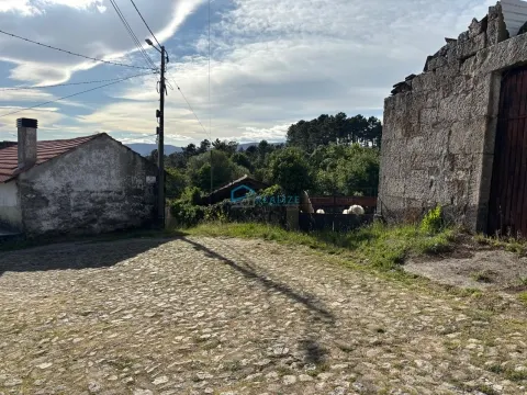 img_13