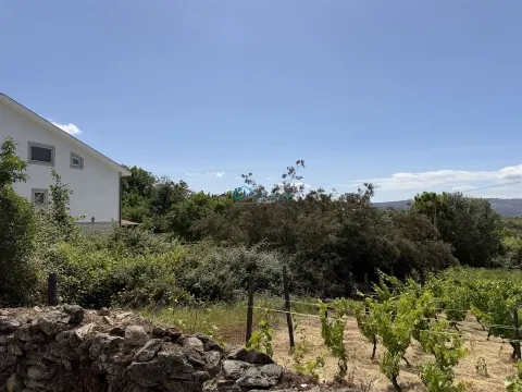 Terreno para construção em Sanfins do Douro, Alijó