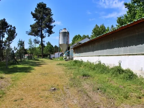 Terreno com exploração de cunicultura