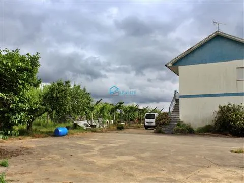 finca 4 habitaciones