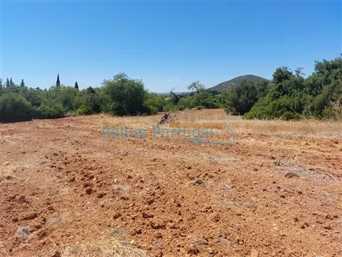 Propriedade Rural de Grande Dimensão