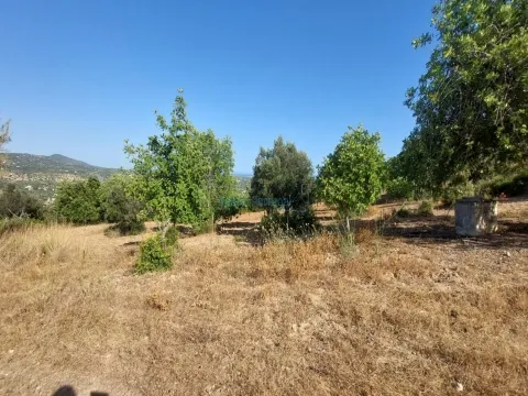 Terreno com projeto aprovado para moradia T3, magnifica vista mar