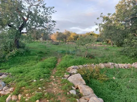 Terreno rustico de 3.040m2 perto de Estoi