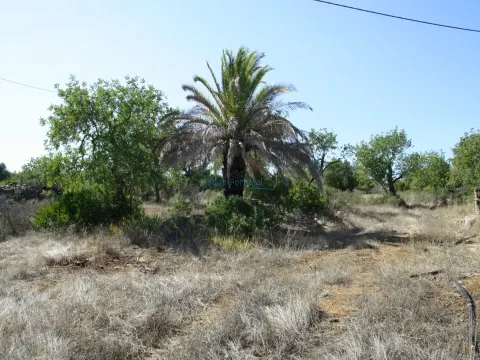 Rustic plot of 3.040 near Estoi