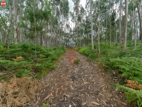 Terreno rústico com 8.000m2 em Lever