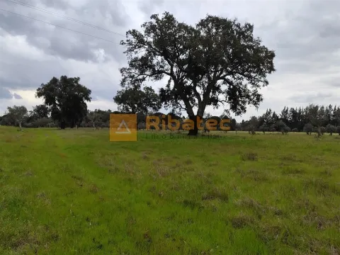 Terreno com viabilidade de construção