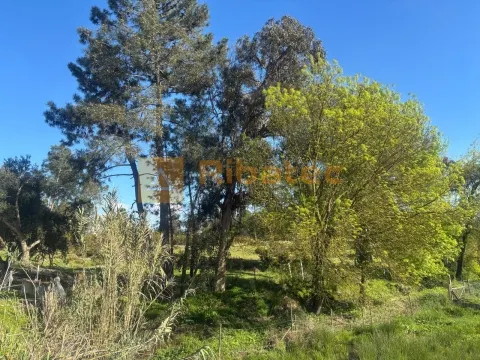 Terreno em Marinhais